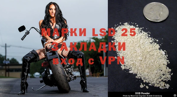 прущие грибы Алзамай