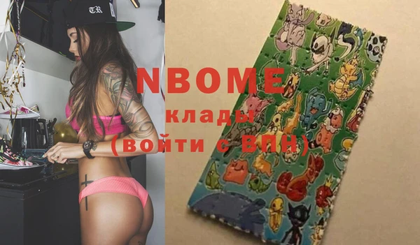 прущие грибы Алзамай